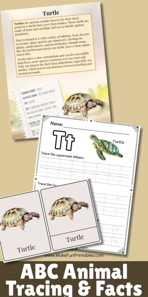 Letter t tracing worksheet featuring a fun animal fact about a bat for preschool and kindergarten