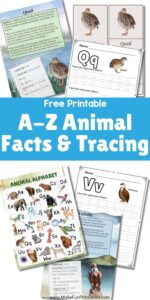 Handwriting practice with uppercase and lowercase alphabet tracing lines for early learners.