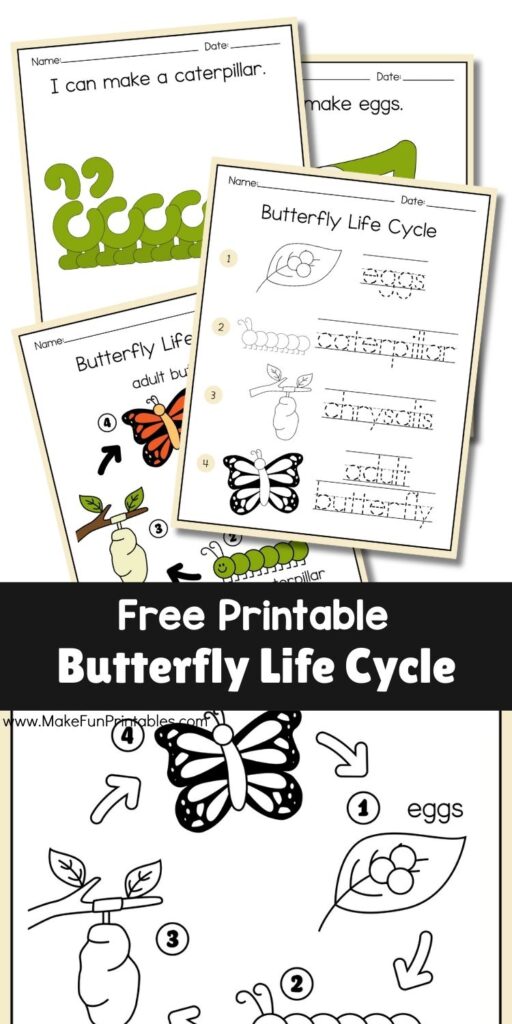 Playdough mat activity page featuring a butterfly stage and a sentence tracing prompt to support hands-on learning.
