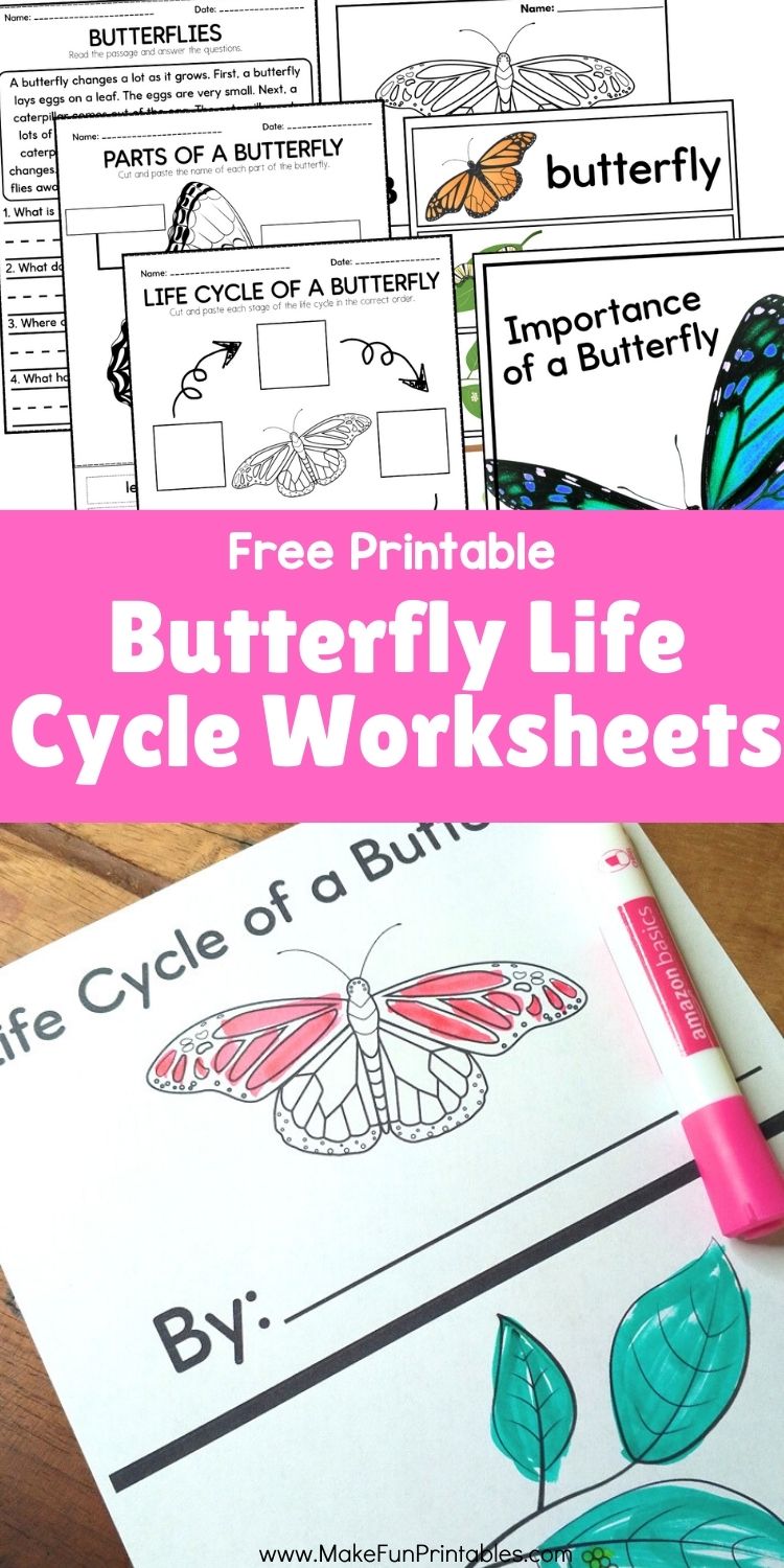Printable butterfly life cycle worksheet for kids showing four clear stages with coloring sections