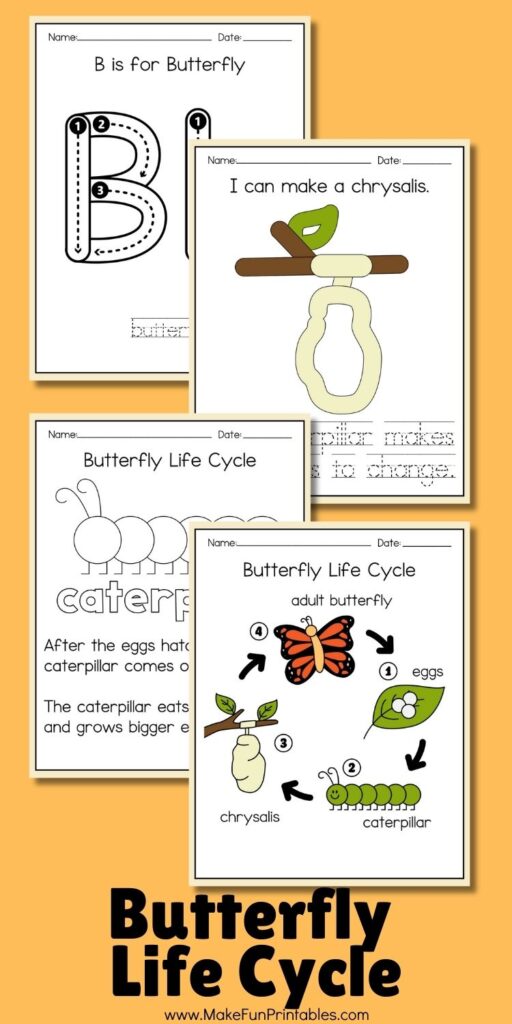 Butterfly life cycle coloring worksheet showing the four main stages with simple descriptions for preschoolers to color and learn.