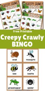 Creepy Crawly Bingo game board with colorful bug illustrations for kids to match and play.