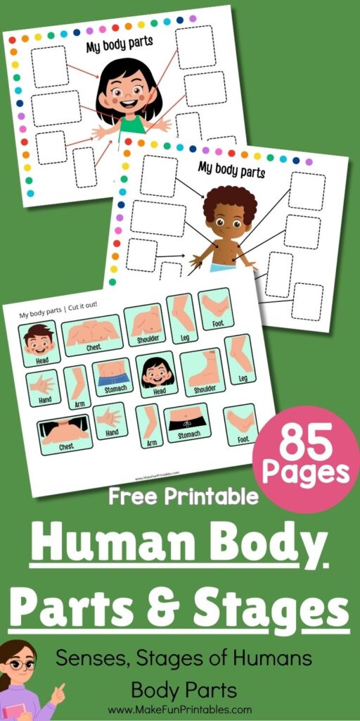 Cut and paste activity page where kids label basic human body parts like arms, legs, and head.