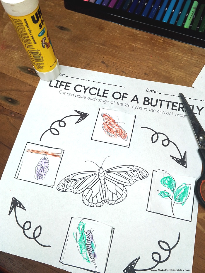 Fun science worksheet for preschoolers to color and learn the stages of a butterfly’s life