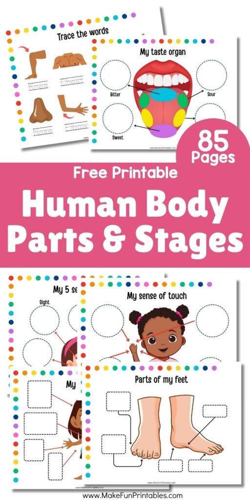 Cover of the Humans Busy Book printable with colorful illustrations of body parts, emotions, and senses for preschoolers.