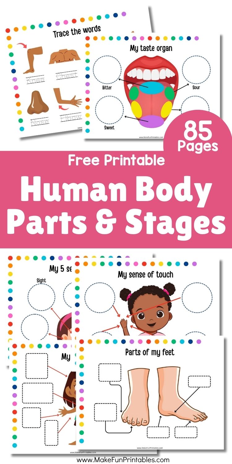 Cover of the Humans Busy Book printable with colorful illustrations of body parts, emotions, and senses for preschoolers.
