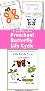 Cover page of the Preschool Butterfly Life Cycle printable pack featuring bright illustrations and activity previews for early learners.