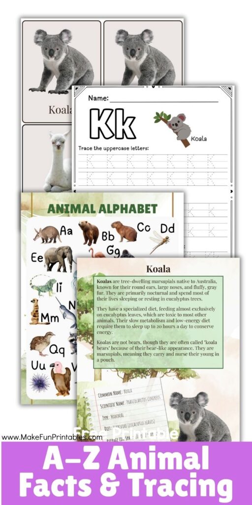 Printable A–Z Animal Facts and Tracing Pack showing letter worksheets and animal flashcards for preschool