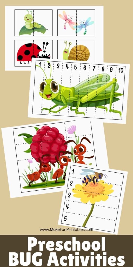 Printable bug life cycle page for preschool science centers