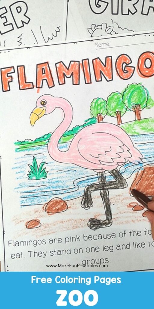Child coloring a flamingo worksheet from a zoo-themed printable pack.
