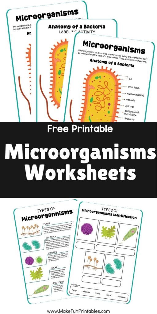 Printable science page showing five types of microorganisms with descriptions and examples.
