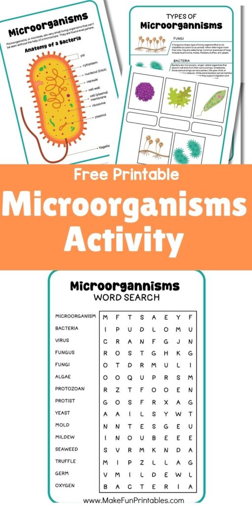 Printable worksheet showing the anatomy of a bacterium with labeling activity for students.