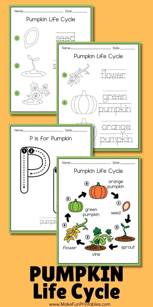 Fall-themed preschool worksheet with pumpkin sequencing activity