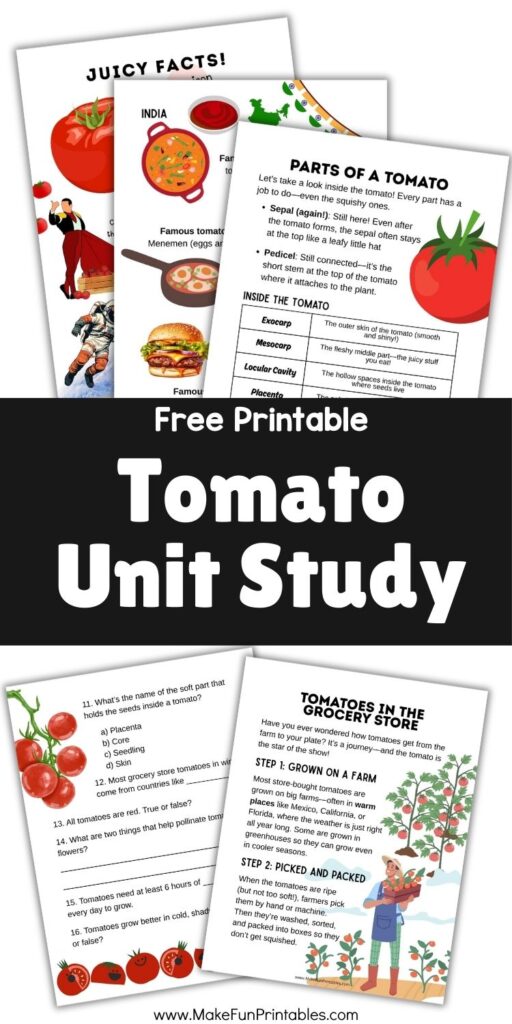 Hands-on tomato unit activity teaching how to grow a tomato from a slice.