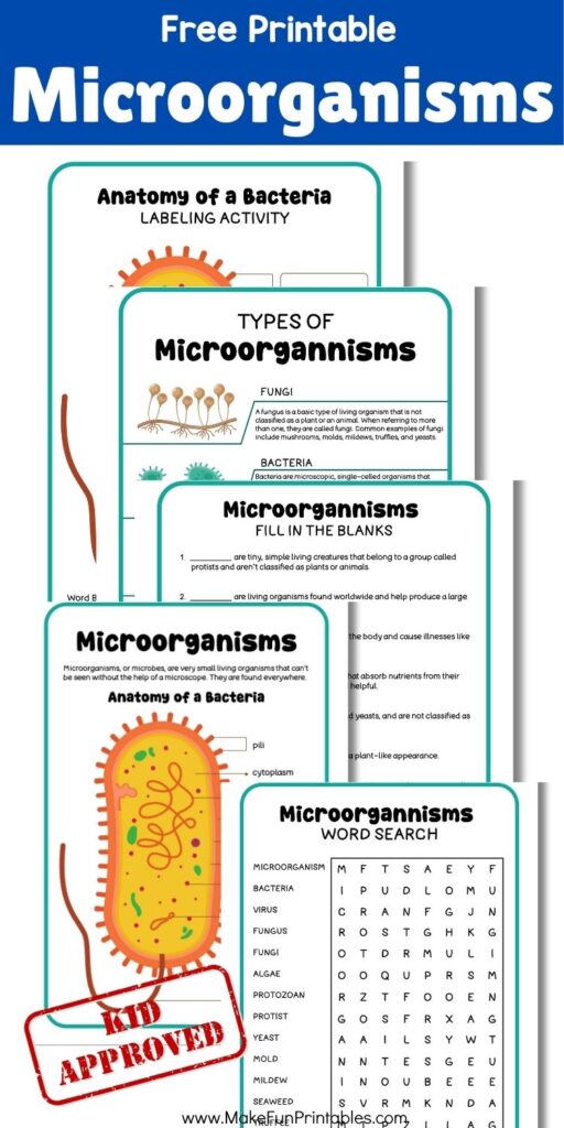 Word search featuring microorganism vocabulary like fungus, virus, algae, and protozoa.