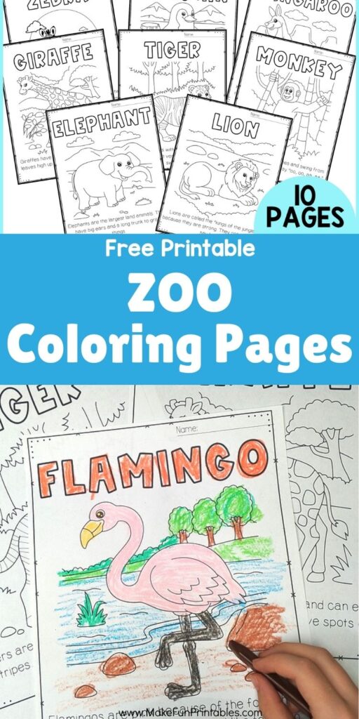 Printable zoo animal coloring pages for preschool featuring simple drawings and fun facts.