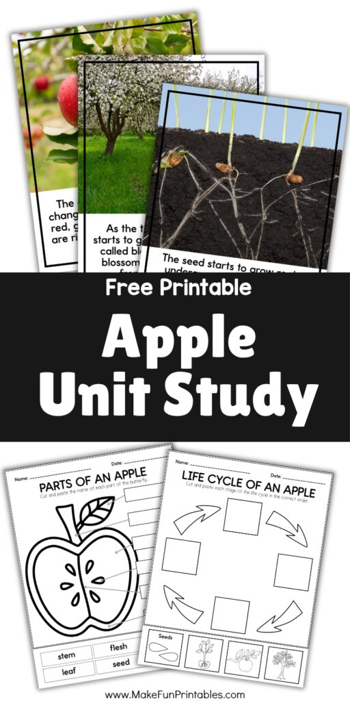 Printable apple counting and math worksheet for fall-themed learning.