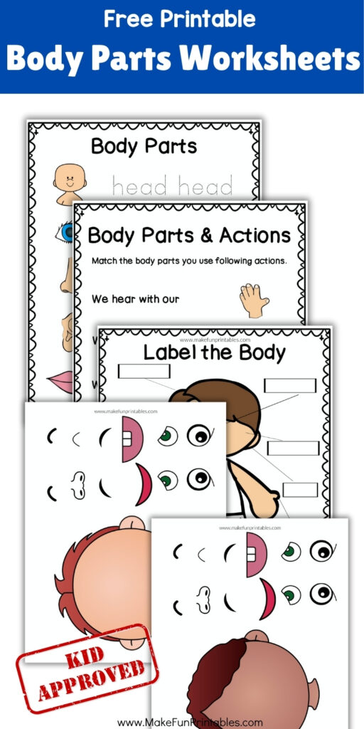 Printable body parts worksheet for preschoolers to label and color basic body parts like head, arms, and legs.