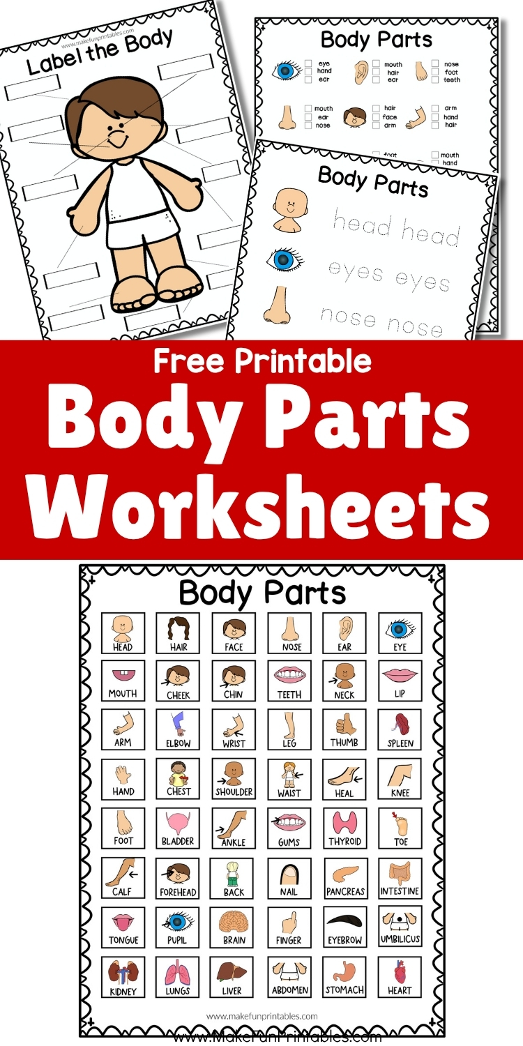 Cut and paste activity for kindergarten students to match body parts with words and images.
