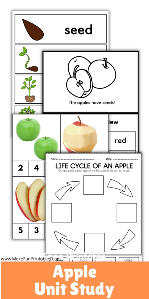Parts of an apple labeling activity with coloring and handwriting practice.