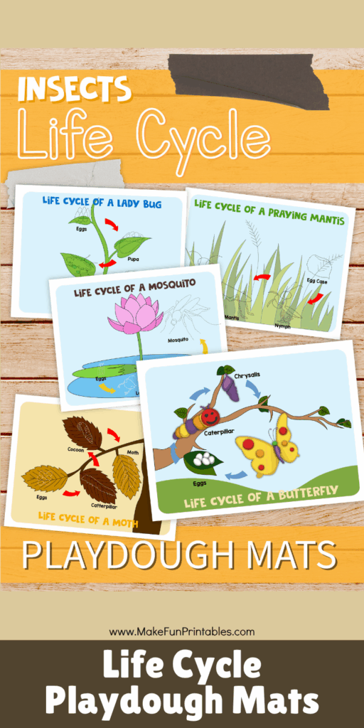 Hands-on butterfly and ladybug life cycle mats for kids to learn and play.