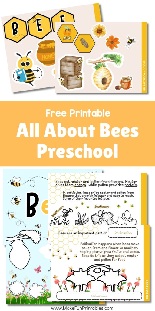 Printable bee life cycle cut-and-paste worksheet for preschool and kindergarten