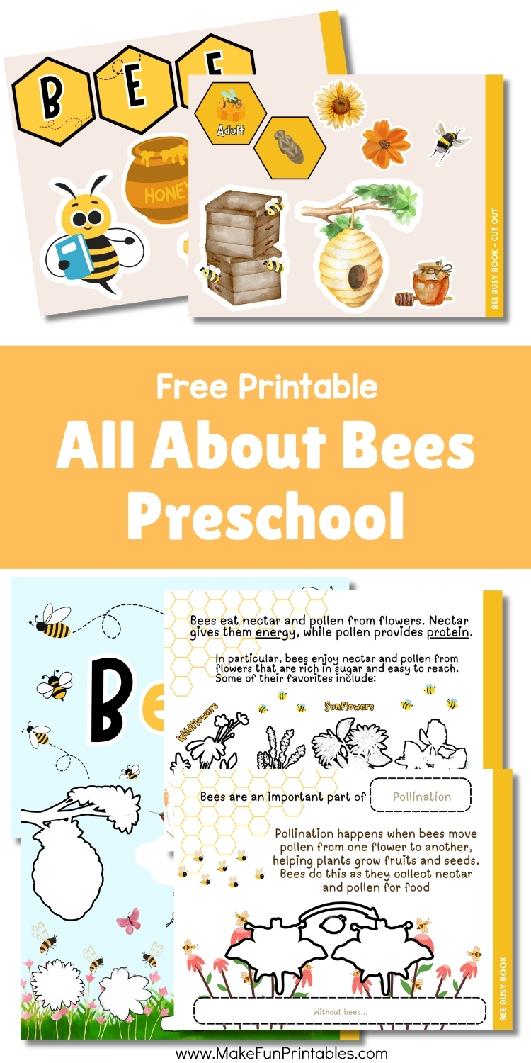 Printable bee life cycle cut-and-paste worksheet for preschool and kindergarten