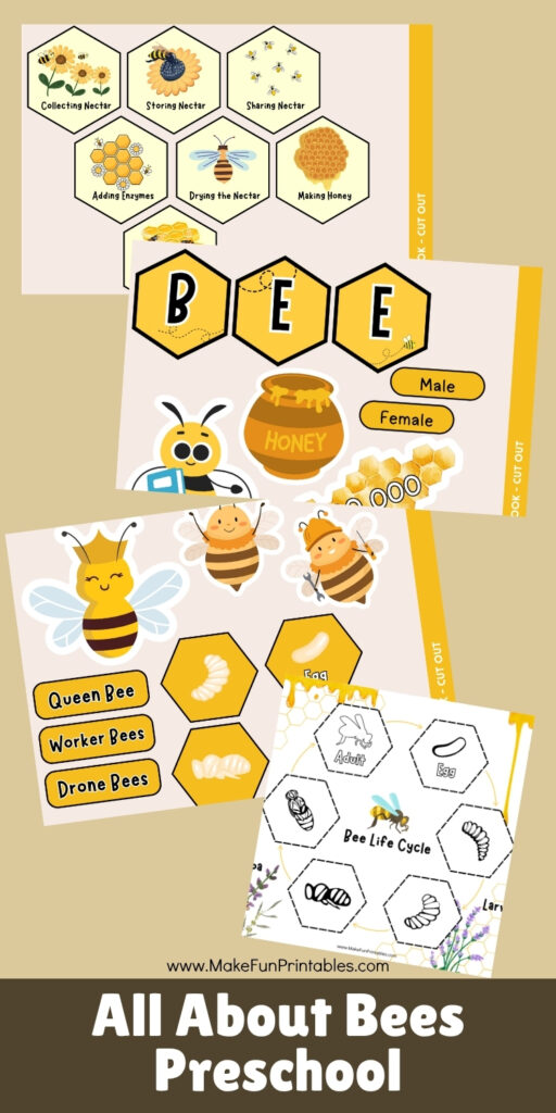 Hands-on preschool worksheets for spring and bug unit studies featuring bees and flowers