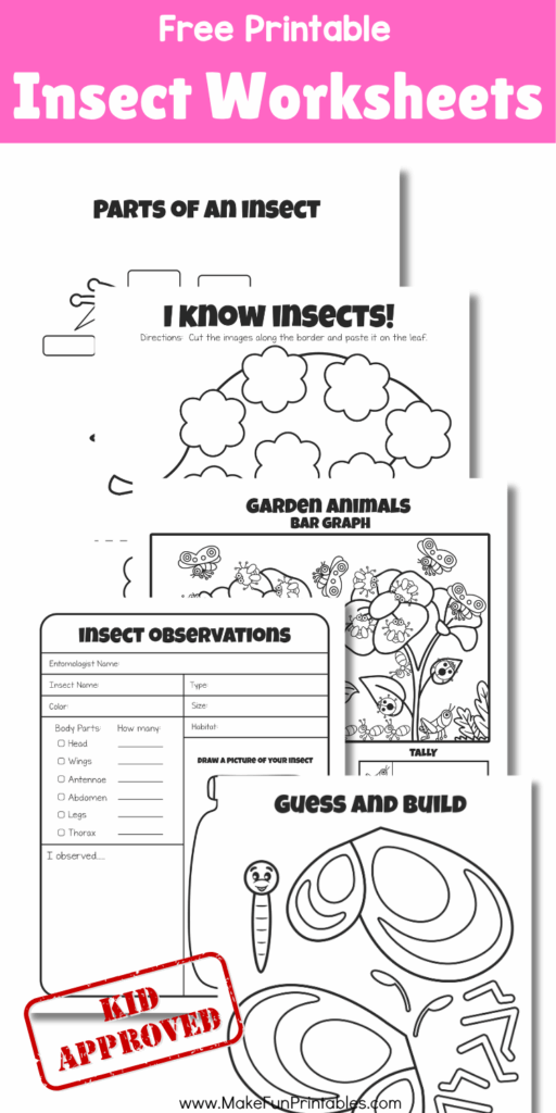 Fun insect science printables for kids including crossword puzzles, cut and paste activities, and anatomy diagrams