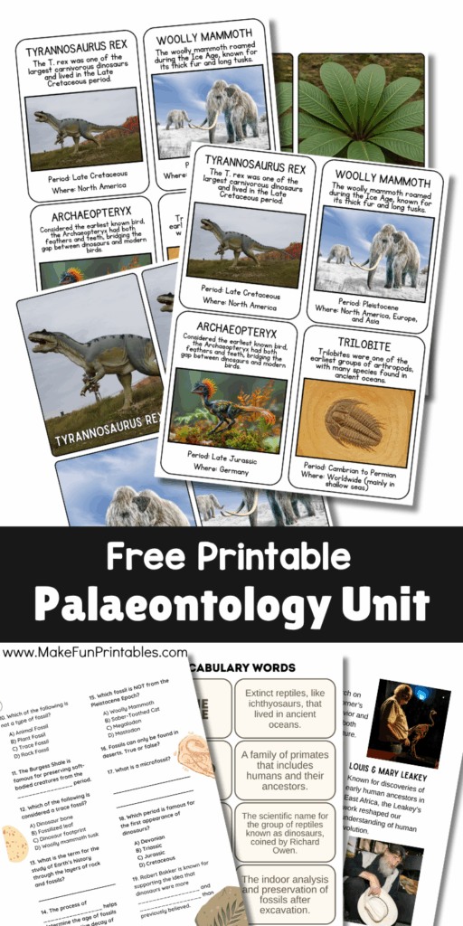 Elementary science worksheets on fossils, prehistoric life, and how palaeontologists study Earth’s history.