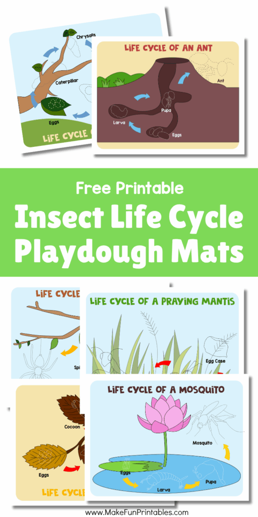 Printable insect life cycle playdough mats for preschool and kindergarten science activities.