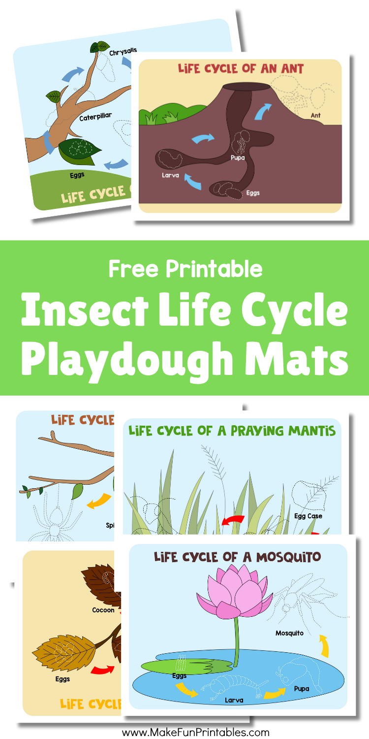 Printable insect life cycle playdough mats for preschool and kindergarten science activities.
