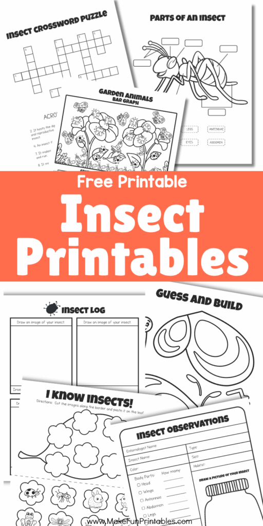 Printable insect study worksheets for preschool and kindergarten with observation, labeling, and graphing activities