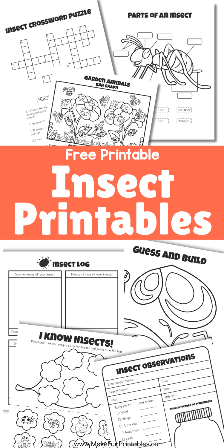 Printable insect study worksheets for preschool and kindergarten with observation, labeling, and graphing activities