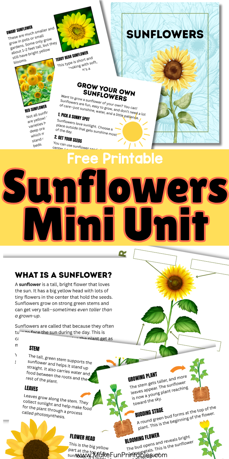 Sunflowers Unit Study printable pack with life cycle, plant parts, growing tips, and companion planting activities for preschool and kindergarten.