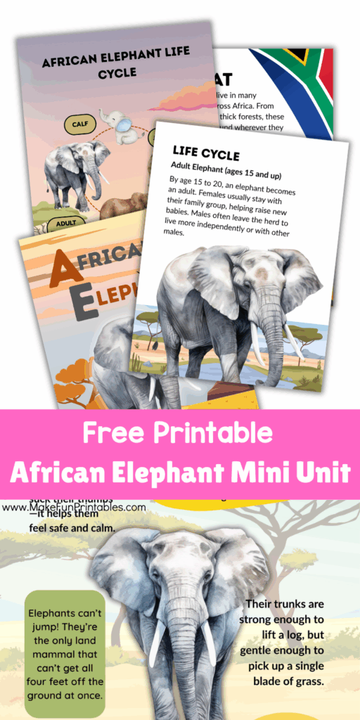 Printable African Elephants fact sheet for kids science unit study and animal learning activities