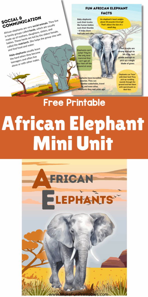 Free African Elephants unit study worksheet page with fun facts for preschool and elementary kids