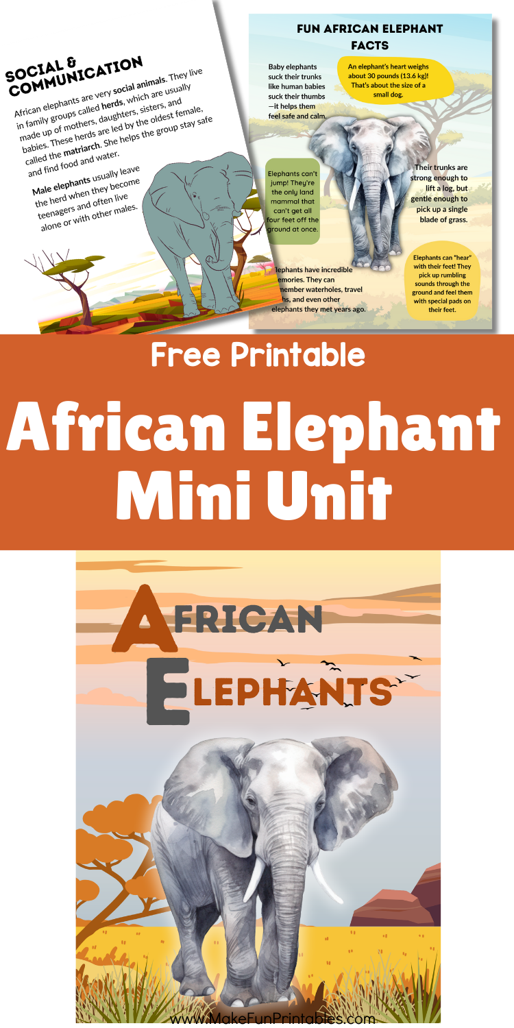 Free African Elephants unit study worksheet page with fun facts for preschool and elementary kids