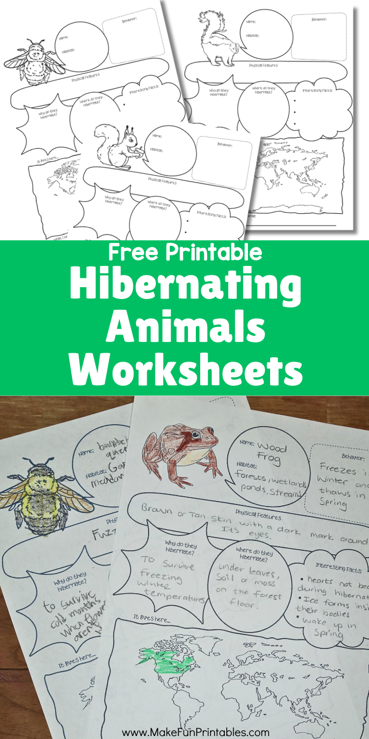 Kindergarten copy work hibernating animals worksheet with simple prompts and writing practice