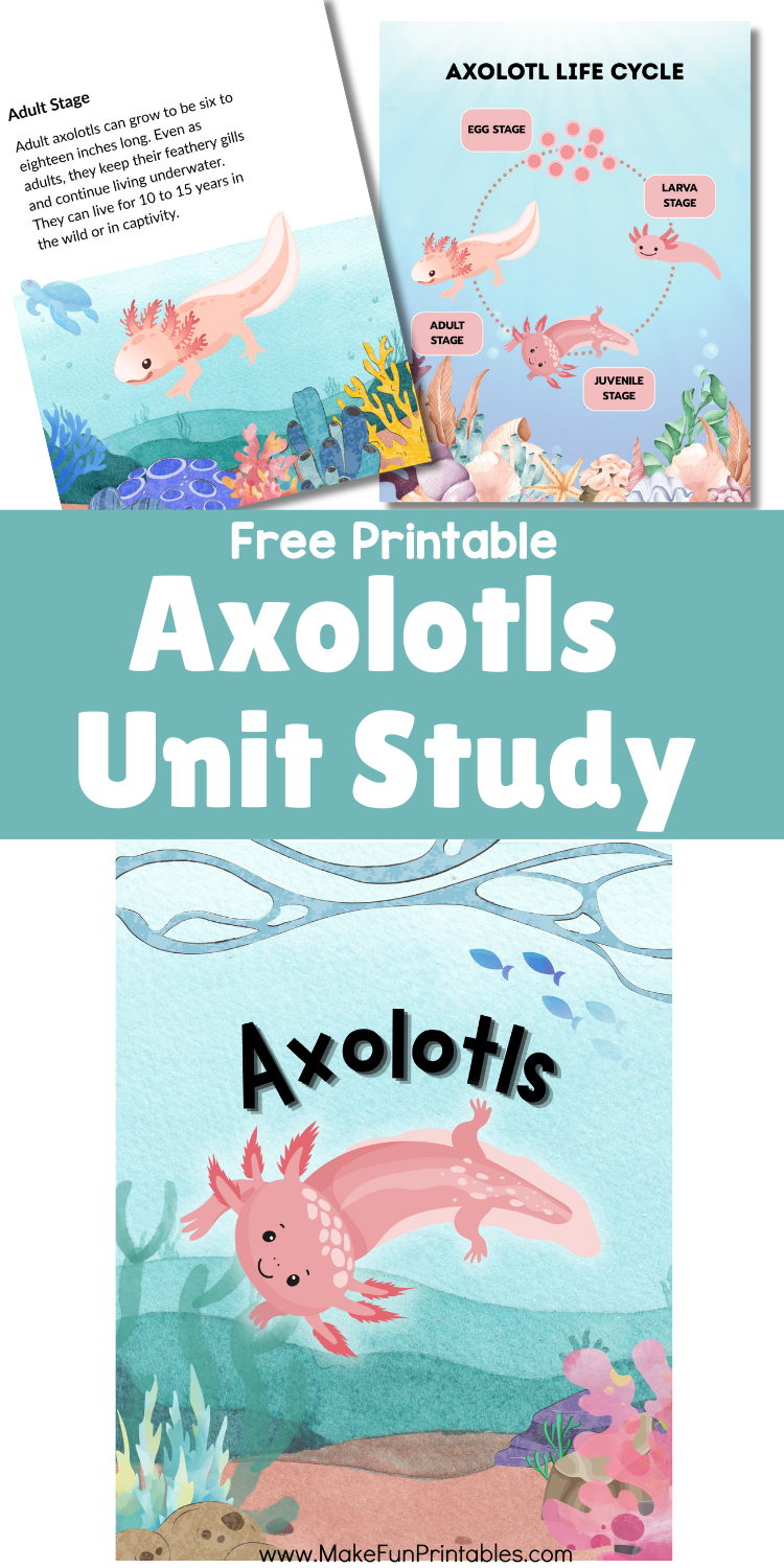Free Axolotls Unit Study printable pack with life cycle diagrams, coloring pages, and science activities for preschool and kindergarten learners.
