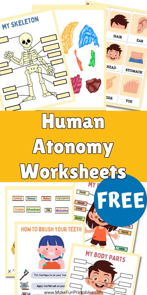 Preschool science worksheets with human body labeling, tracing, and cut and paste anatomy activities