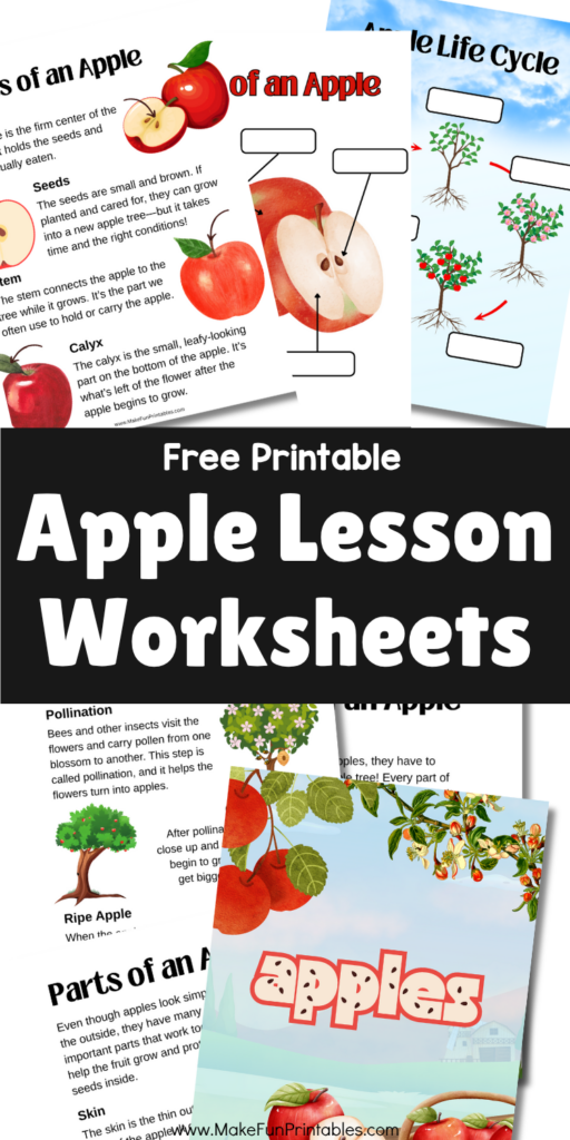 Free apple unit study for preschool and kindergarten with apple parts, tree anatomy, life cycle, varieties, growing facts, and simple activities.